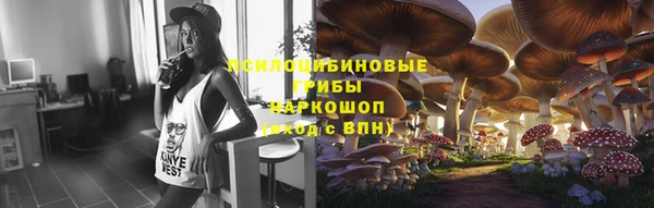 стаф Ростов