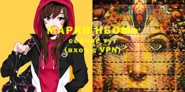 стаф Ростов