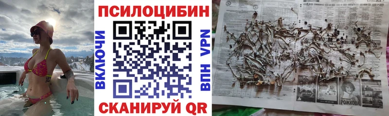 Галлюциногенные грибы Psilocybe  Купить  Устюжна 